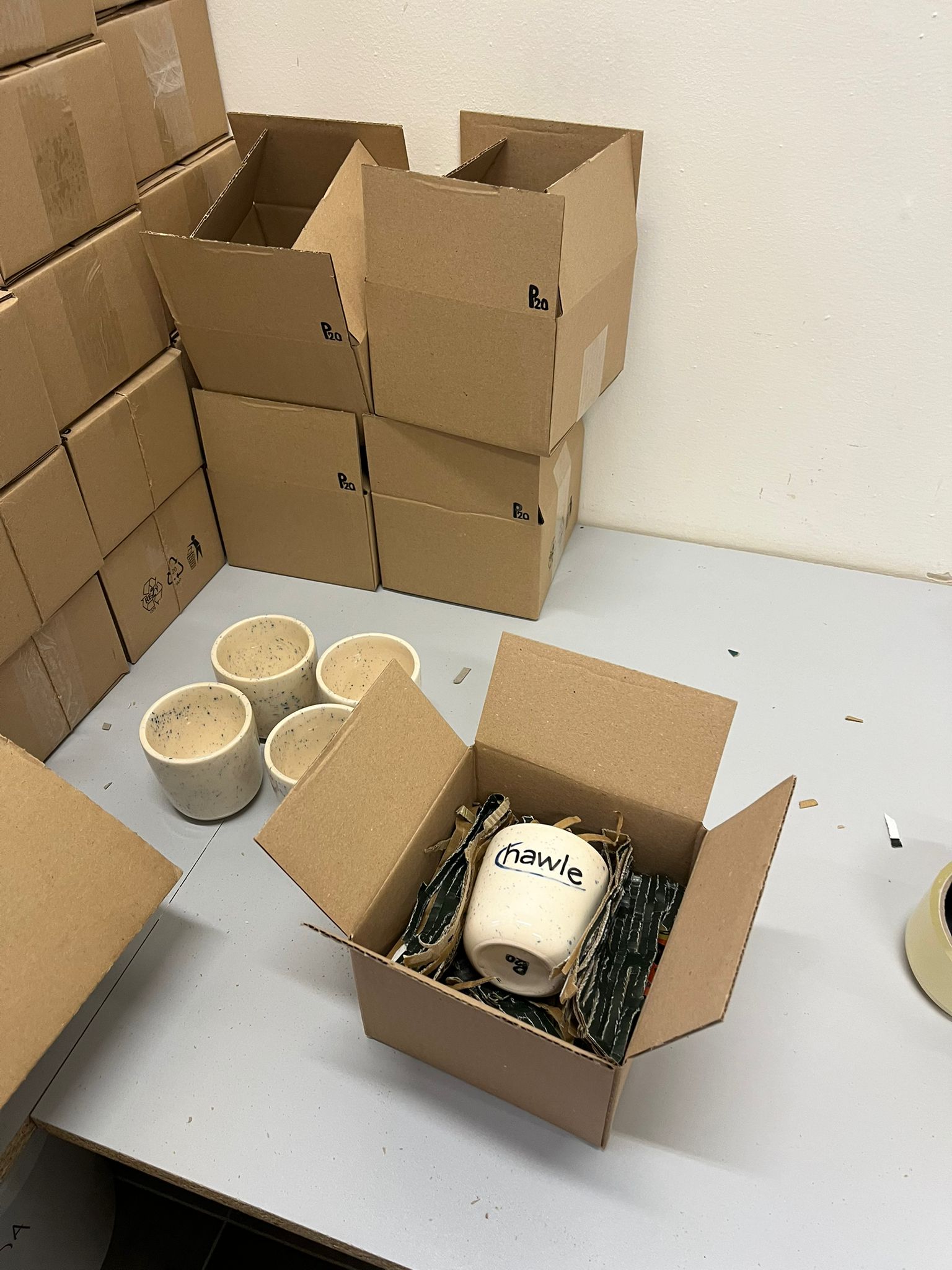 WhatsApp Image 2025-11-20 at 09.09.36